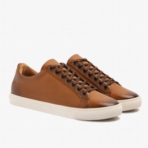 Thursday Boots Premier Lage Sneakers Heren Toffee | HXX5632XR