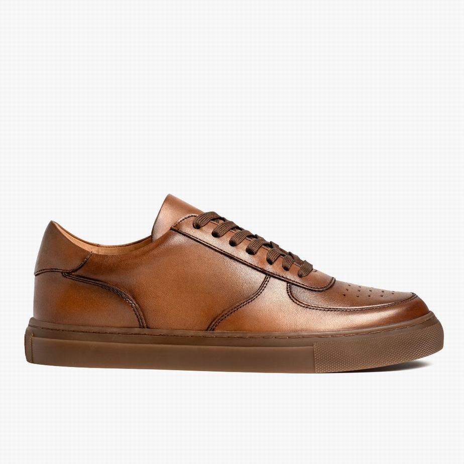 Thursday Boots Court Lage Sneakers Heren Toffee | VLO730MC