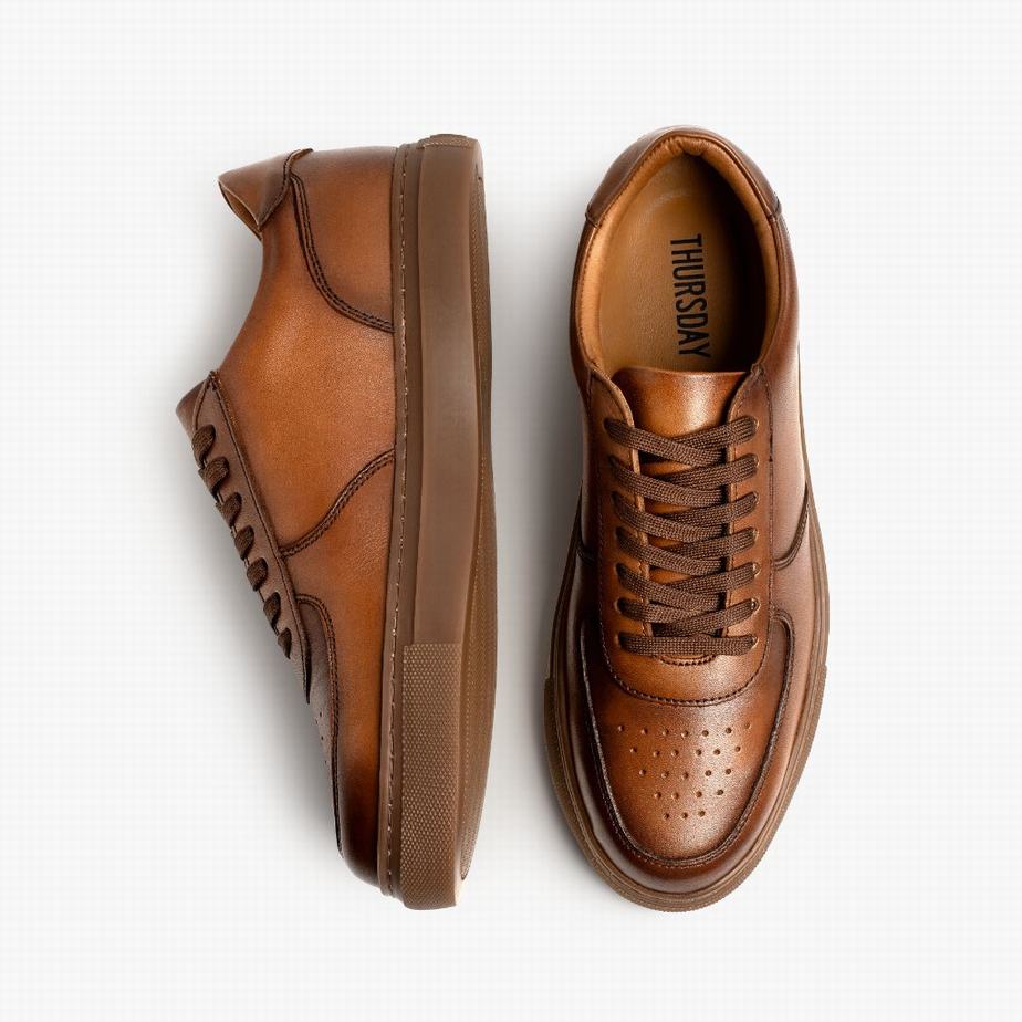 Thursday Boots Court Lage Sneakers Heren Toffee | VLO730MC