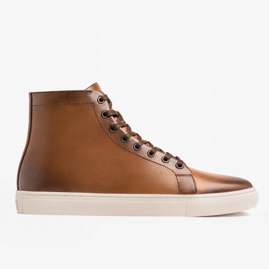 Thursday Boots Premier Hoge Sneakers Dames Toffee | MIW6879EW