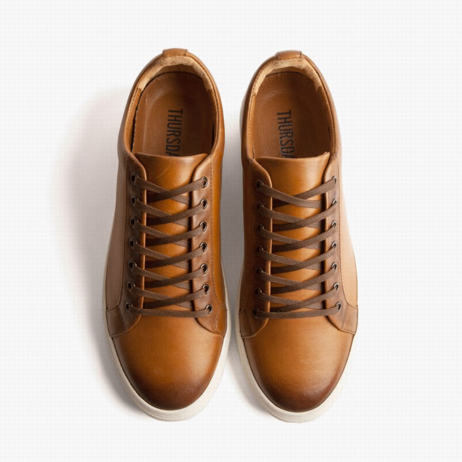 Thursday Boots Premier Lage Sneakers Dames Toffee | MIK831FT