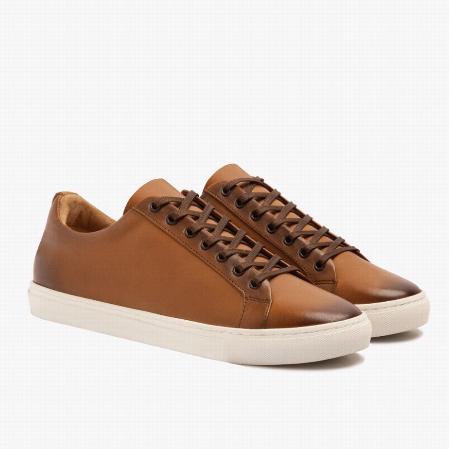 Thursday Boots Premier Lage Sneakers Dames Toffee | MIK831FT