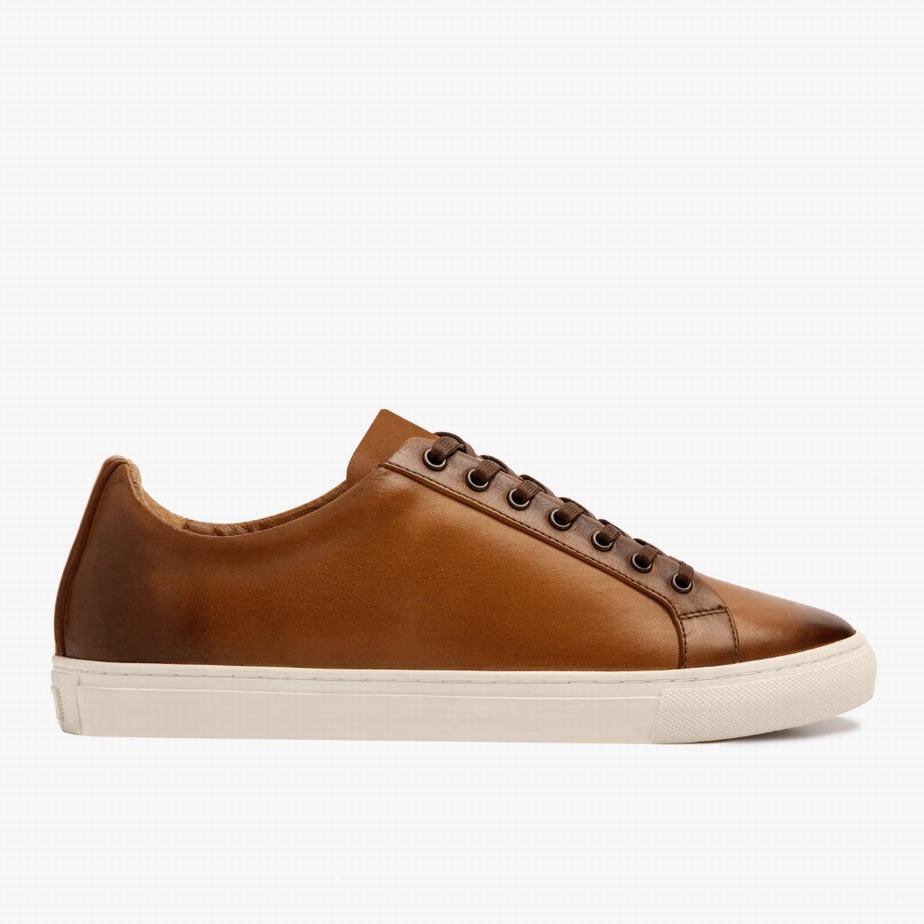 Thursday Boots Premier Lage Sneakers Heren Toffee | HXX5632XR