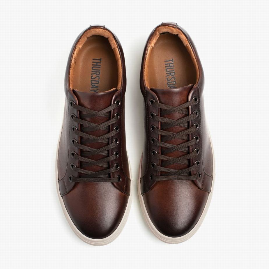 Thursday Boots Premier Lage Sneakers Heren Koffie | EHZ2196GE