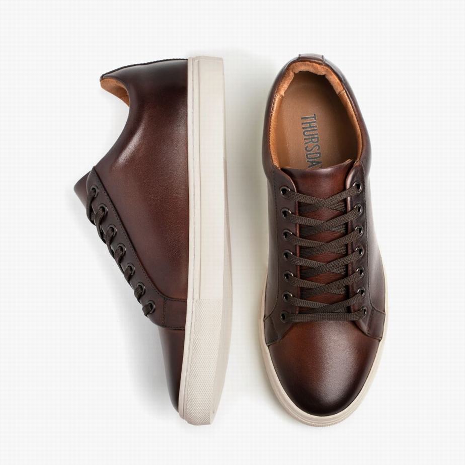 Thursday Boots Premier Lage Sneakers Heren Koffie | EHZ2196GE