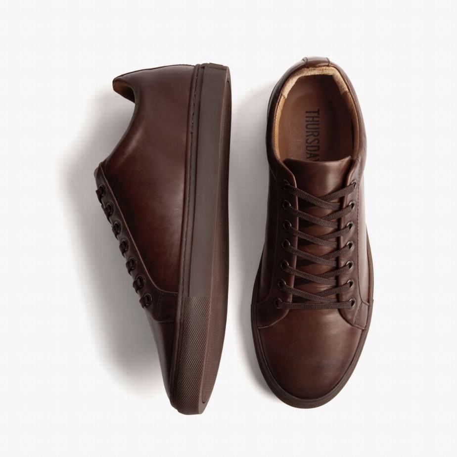 Thursday Boots Premier Lage Sneakers Heren Old English | KIT1880IQ