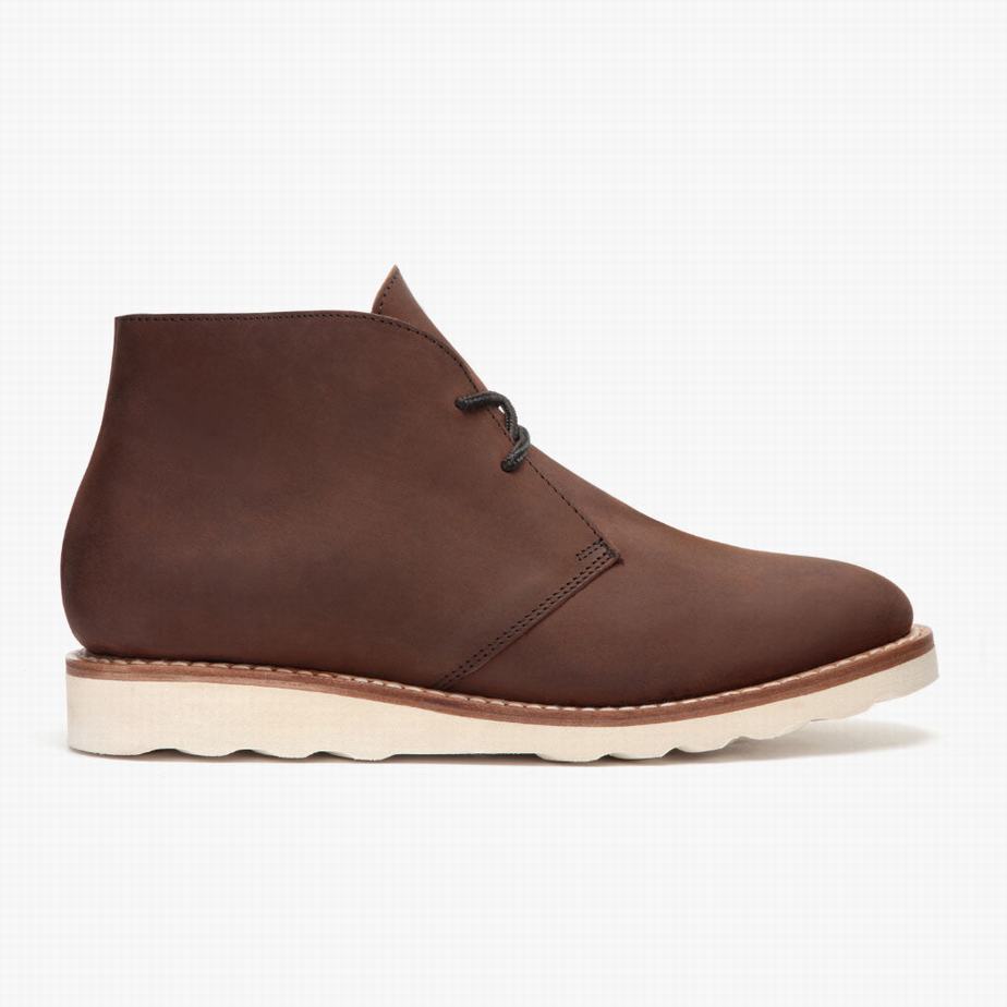 Thursday Boots Scout Chukka Laarzen Heren Chocola | XPO8585OM