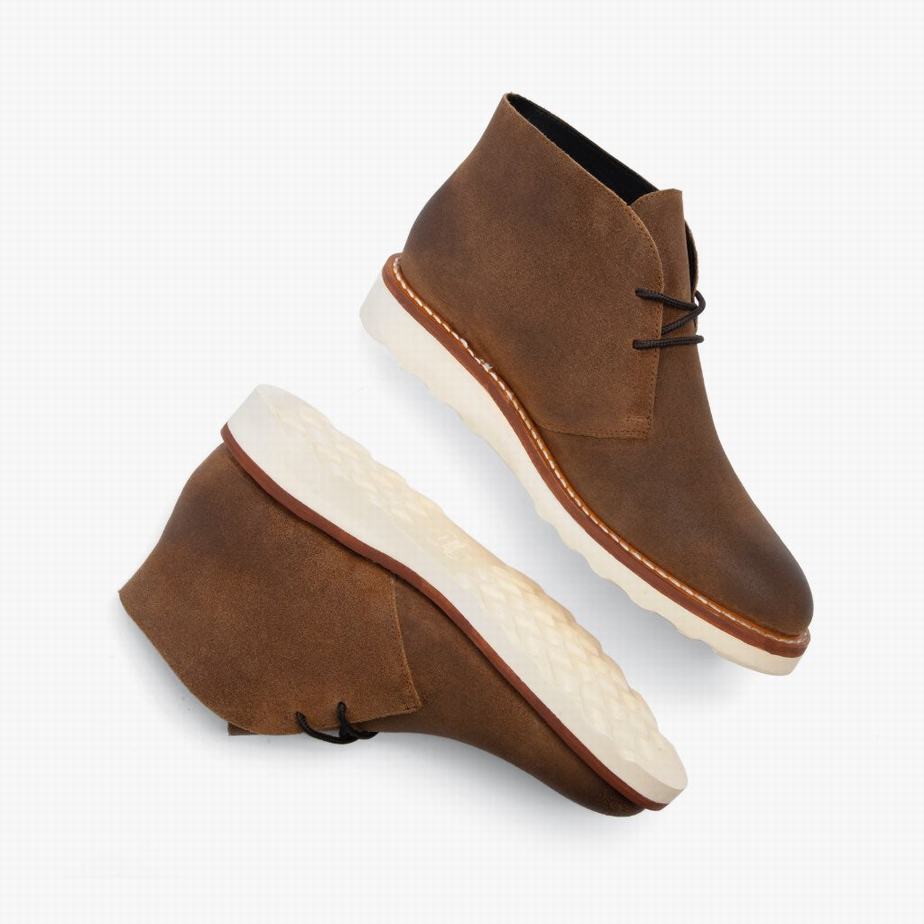 Thursday Boots Scout Chukka Laarzen Heren Safari | HEI877CH