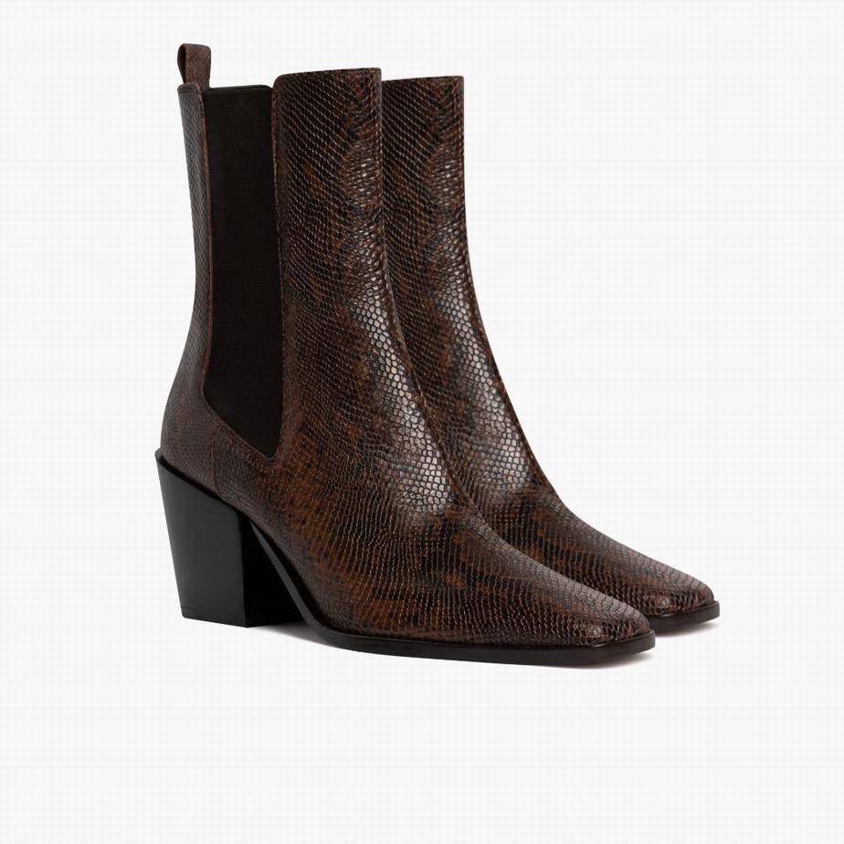 Thursday Boots Soho Chelsea Laarzen Dames Chocola Slangenprint | WKR8920NI